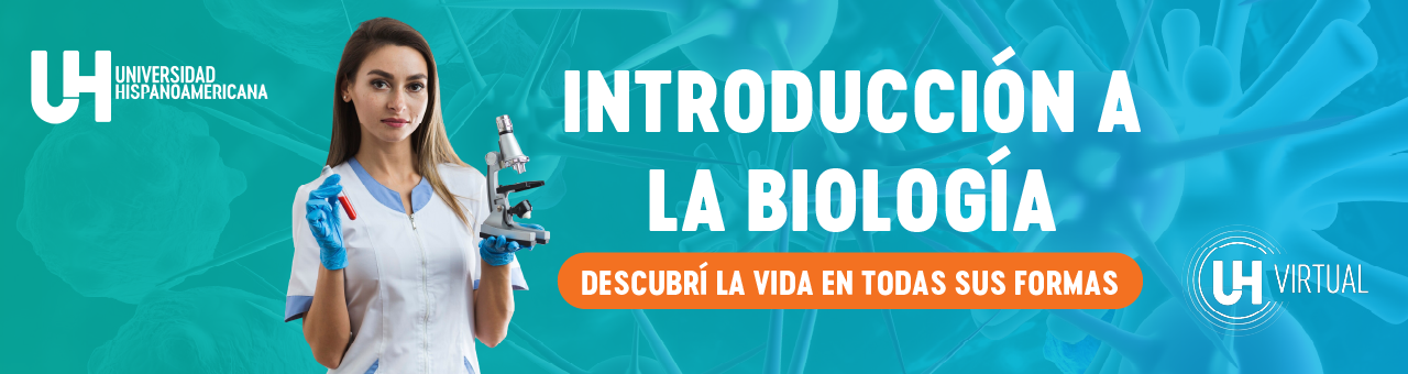 Curso